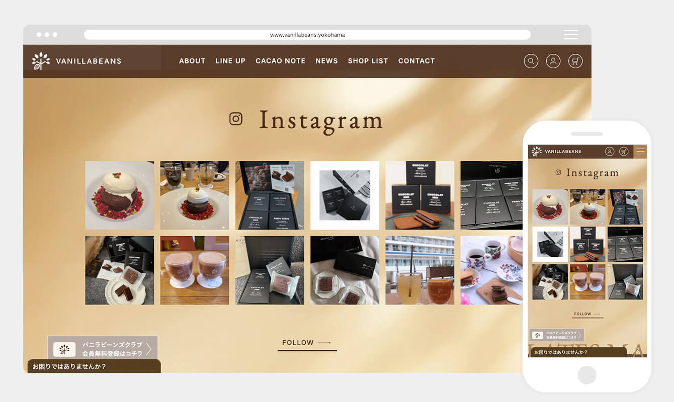 バニラビーンズ